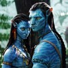 Dalette nickli yeye ait kullanc resmi (Avatar)